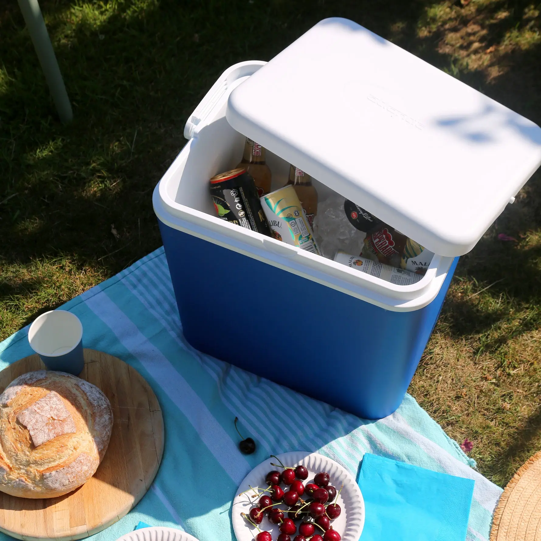 Термобокс Atlantic CoolBox 30L (Blue/White) - 4