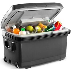 Frigider portabil Berdsen 3821 (Grey) Thumb