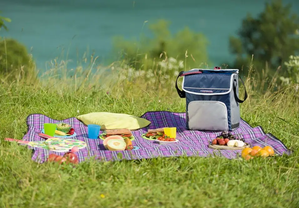 Geanta termoizolanta Campingaz Fold'N Cool 20L (Blue) - 3