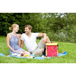 Термосумка Campingaz MiniMaxi 19L (Pink Daisy) Thumb