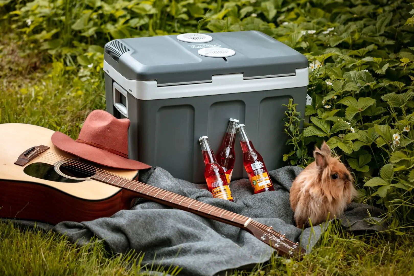 Frigider auto Camry CR 8061 (Grey)