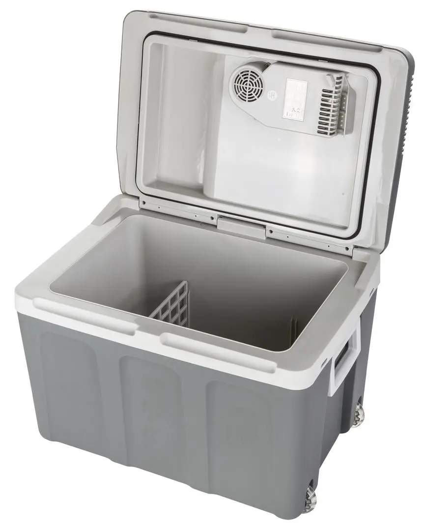 Frigider auto Camry CR 8061 (Grey)