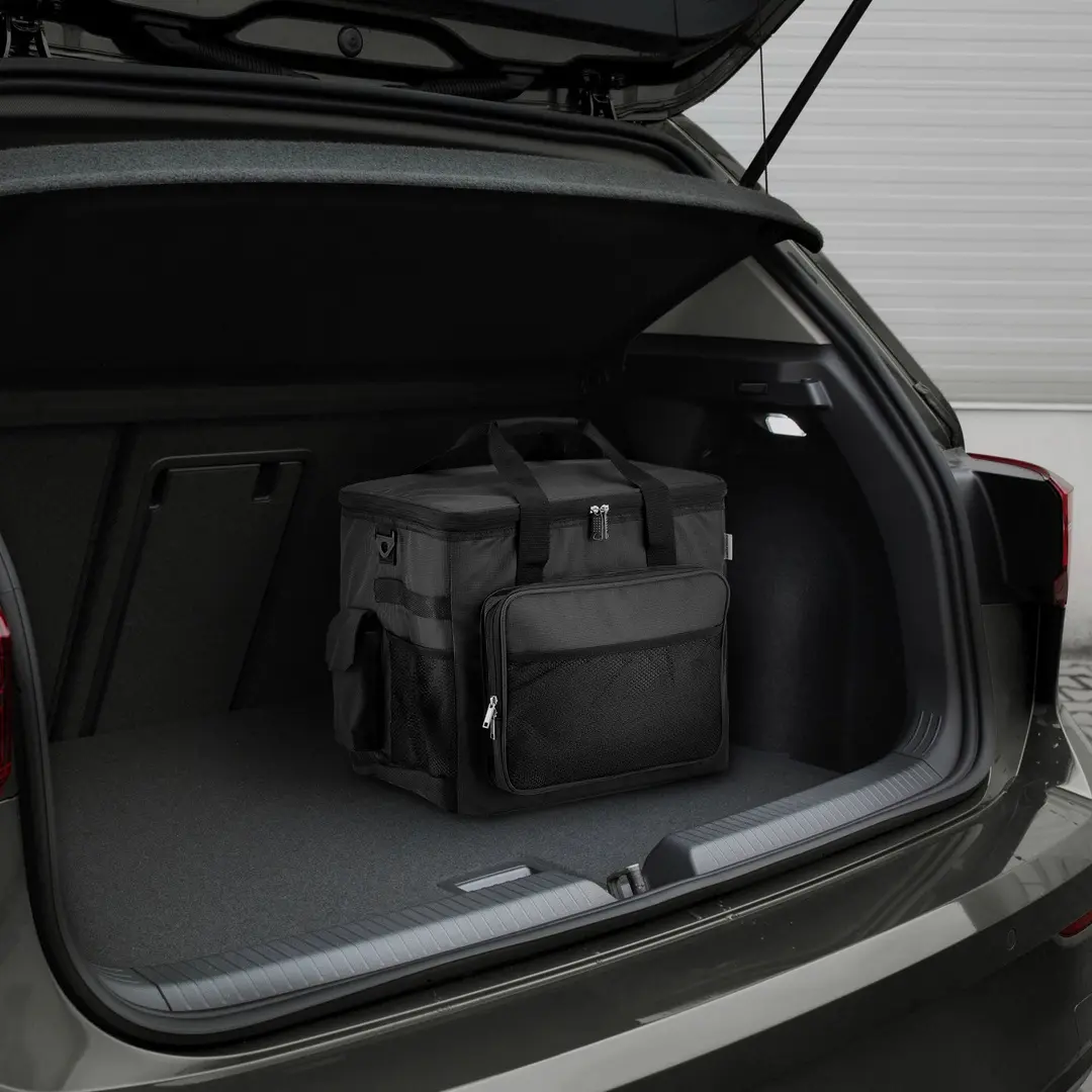 Geanta termoizolanta Coolfort CF-0235 (Black)