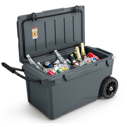 Frigider portabil Costway GP11738GR (Grey) Thumb