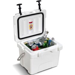 Термобокс Costway OP70036WH (White) Thumb