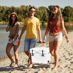 Термобокс Costway OP70036WH (White) Thumb