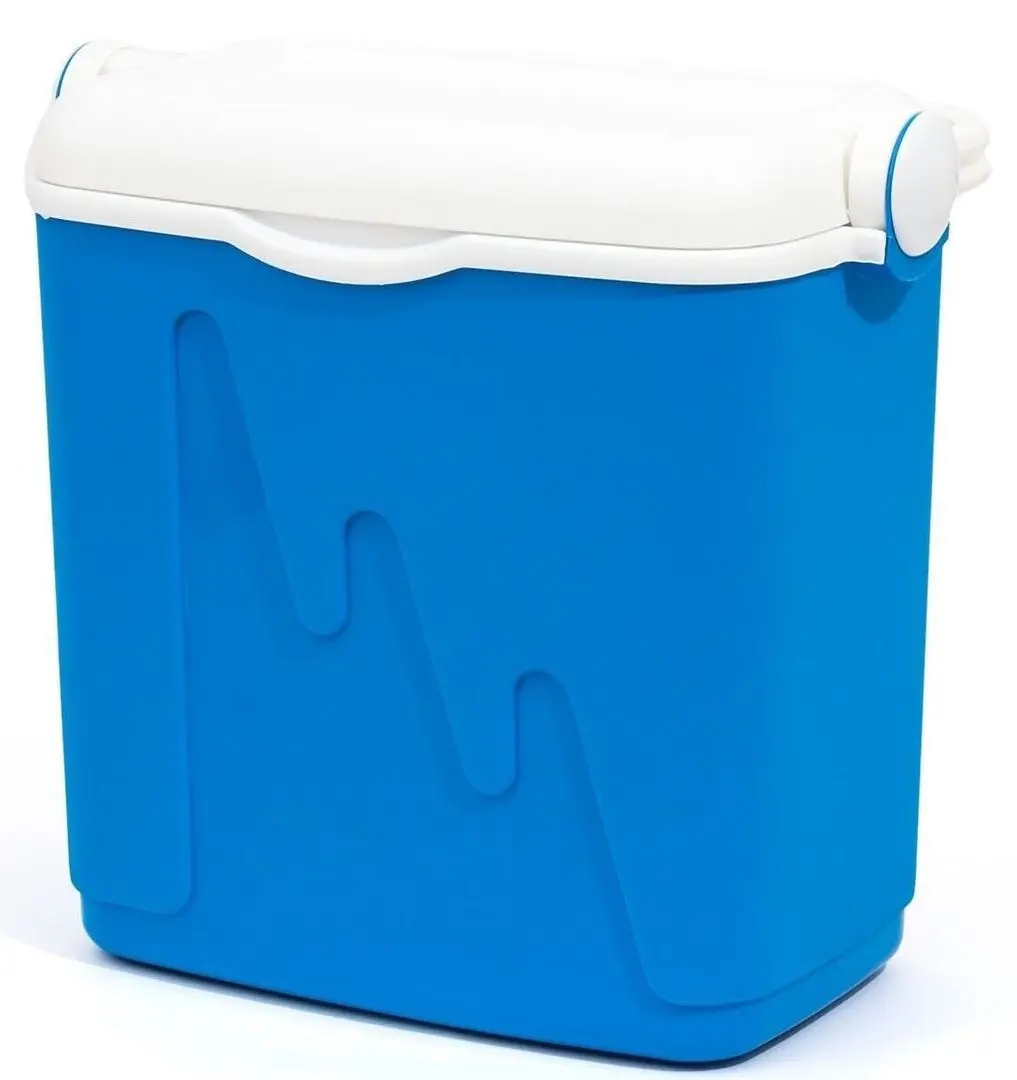 Cutie termica Curver AGDCURLOT0002 (Blue)