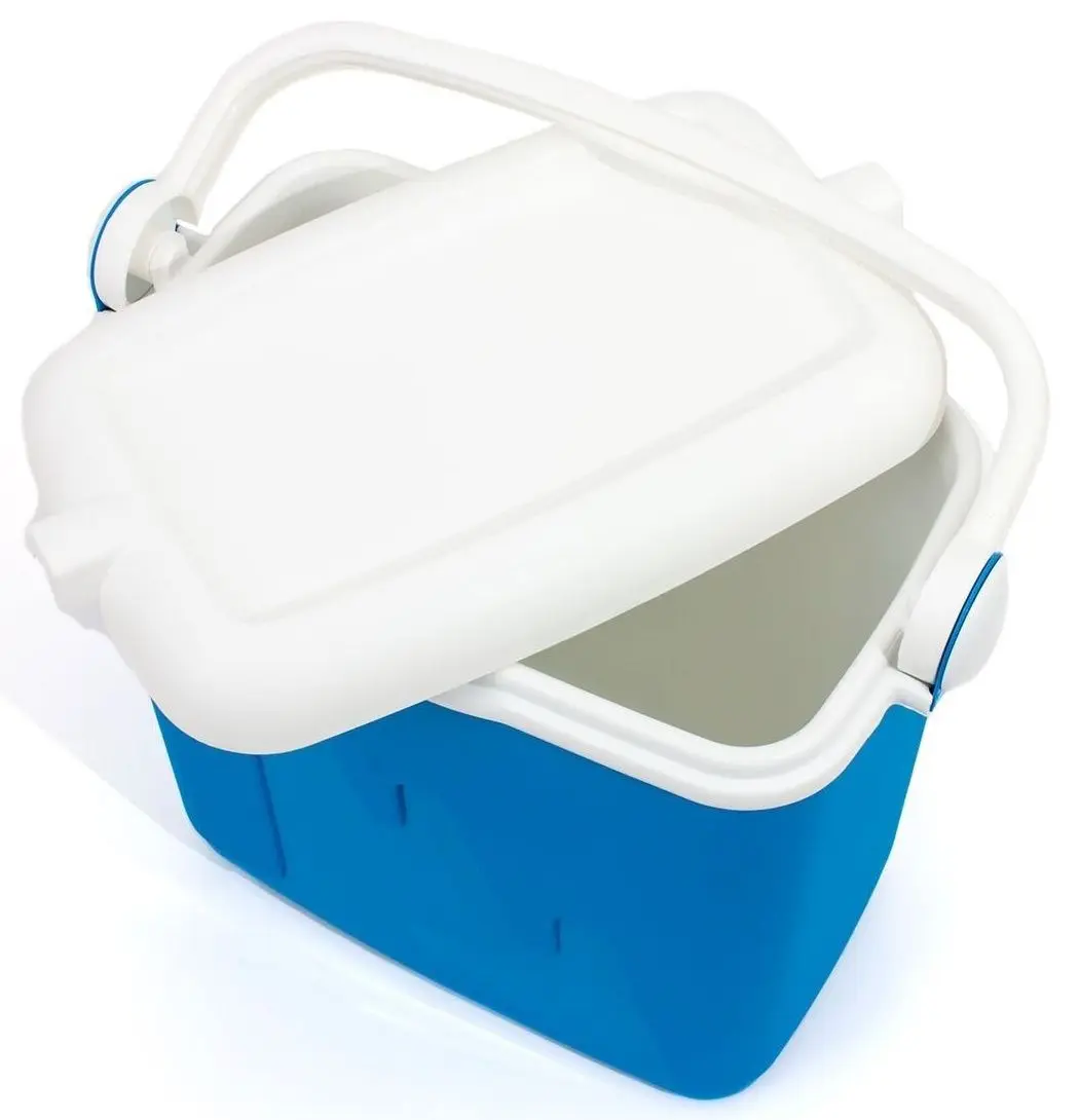 Cutie termica Curver AGDCURLOT0002 (Blue)