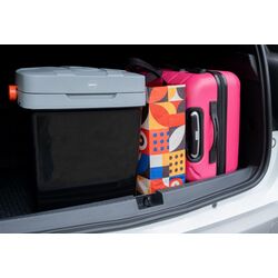 Автомобильный холодильник Eldom Frozzy TL110 (Black/Grey) Thumb