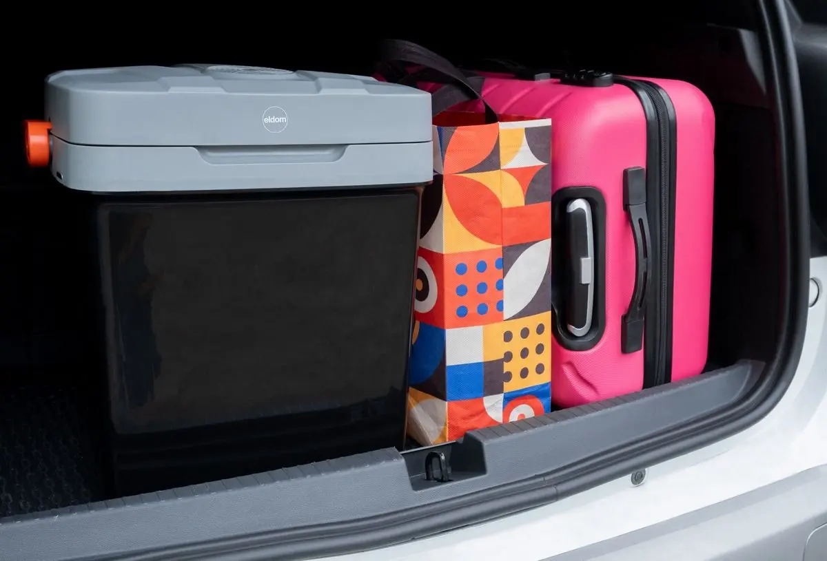 Автомобильный холодильник Eldom Frozzy TL110 (Black/Grey) - 6