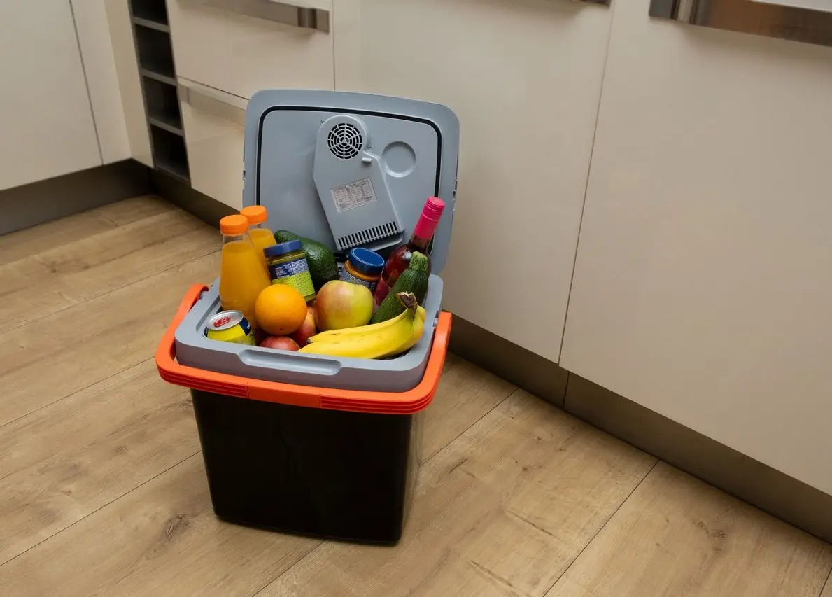 Автомобильный холодильник Eldom Frozzy TL110 (Black/Grey) - 7