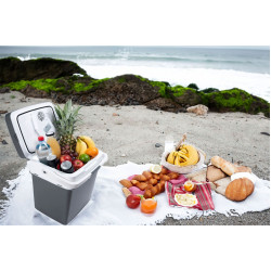 Автомобильный холодильник Modern Home G-451 (Grey) Thumb