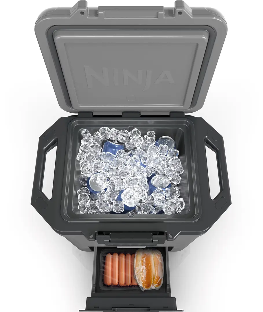 Cutie termica Ninja FrostVault FB131GH (Gray/Black)