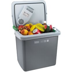 Frigider auto Teesa TSA5001.1 (Grey/White) Thumb