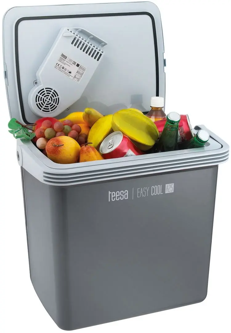 Frigider auto Teesa TSA5001.1 (Grey/White)