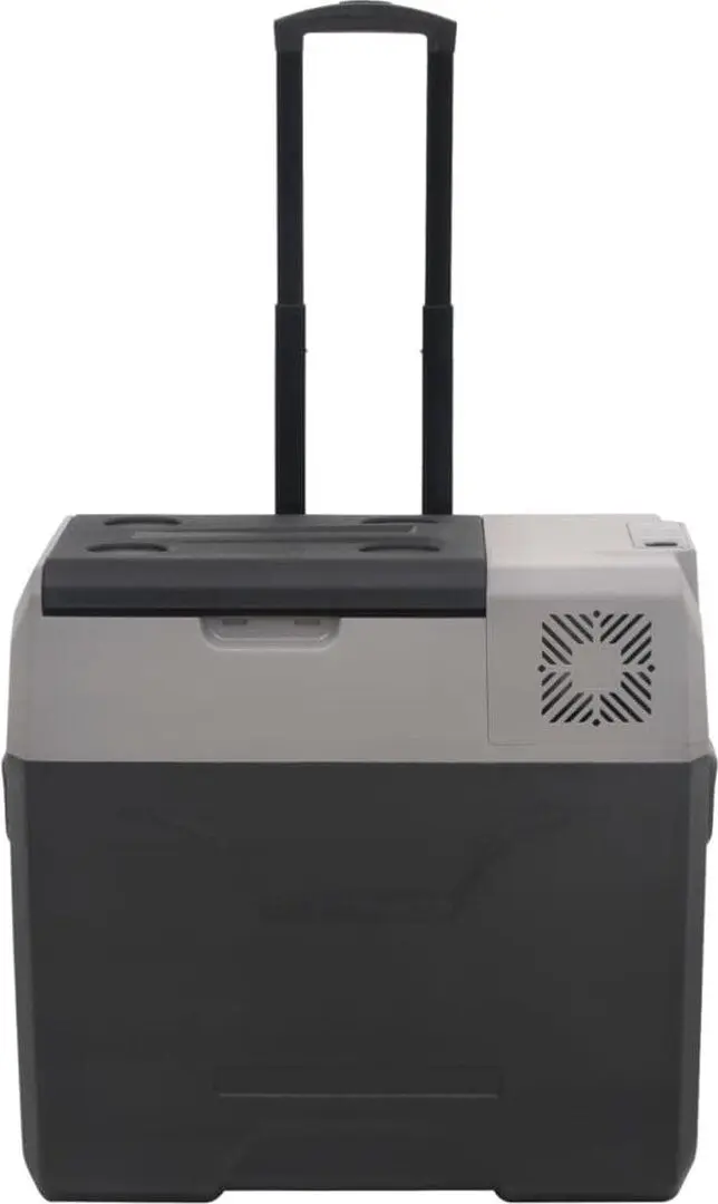 Frigider auto VidaXL 3154635 30L (Grey/Black)