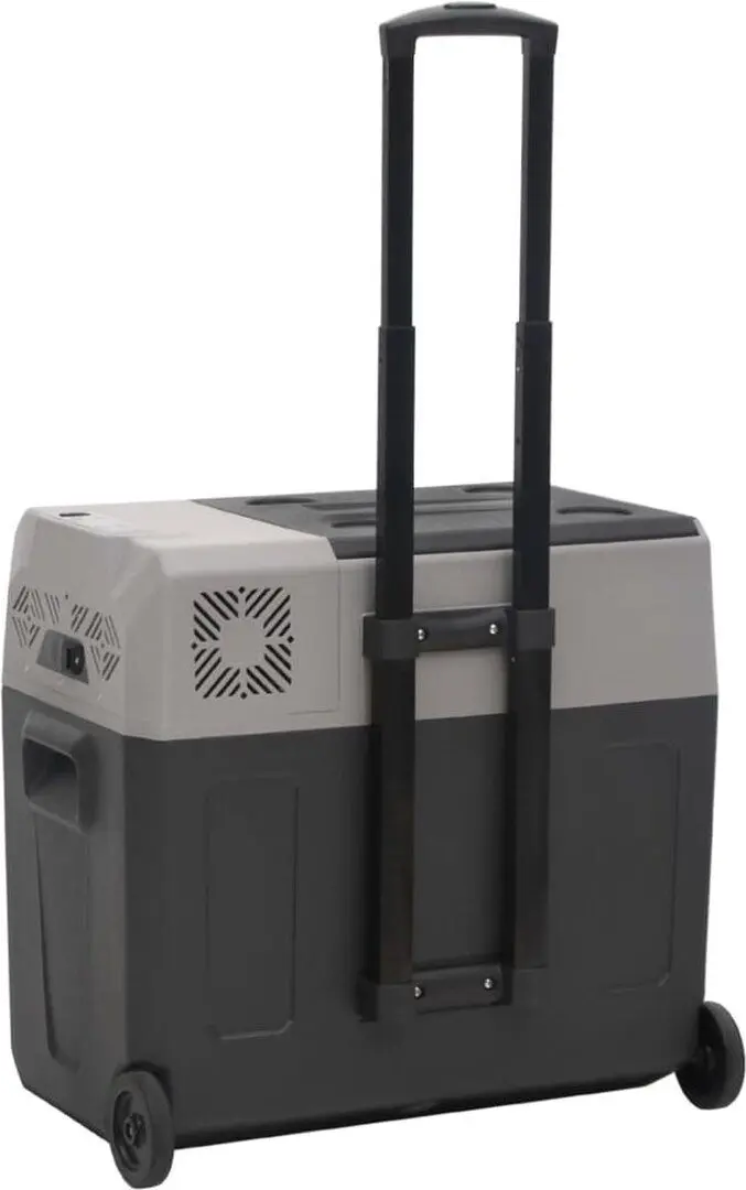 Frigider auto VidaXL 3154635 30L (Grey/Black)