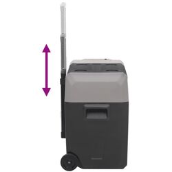 Frigider auto VidaXL 3154636 (Black/Grey) Thumb