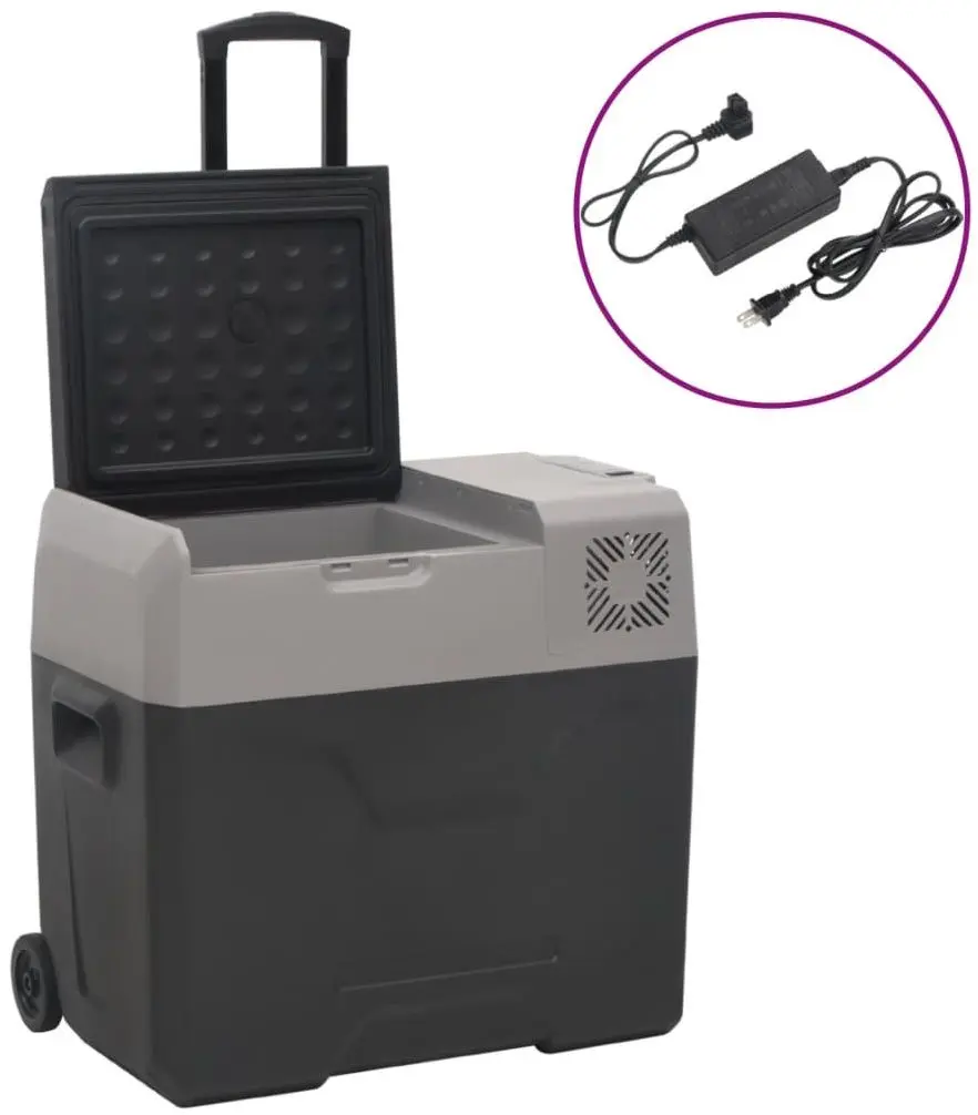 Frigider auto VidaXL 3154636 (Black/Grey)