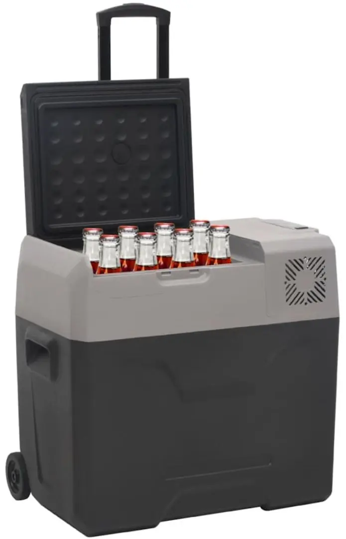 Frigider auto VidaXL 3154637 (Black/Grey)