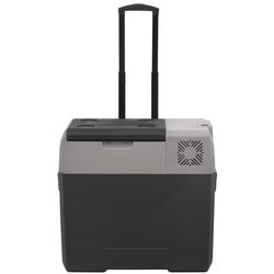 Frigider auto VidaXL 3154637 (Black/Grey) Thumb