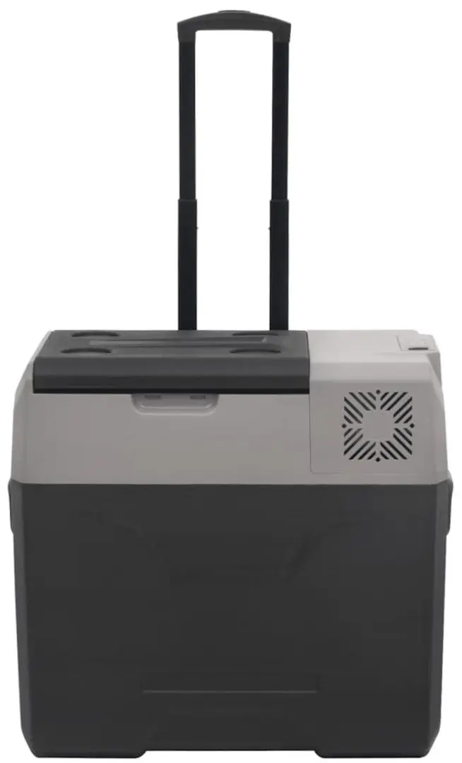 Frigider auto VidaXL 3154637 (Black/Grey)