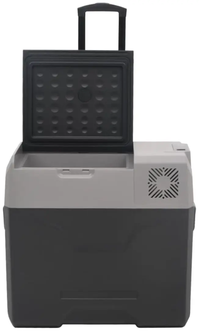 Frigider auto VidaXL 3154637 (Black/Grey)