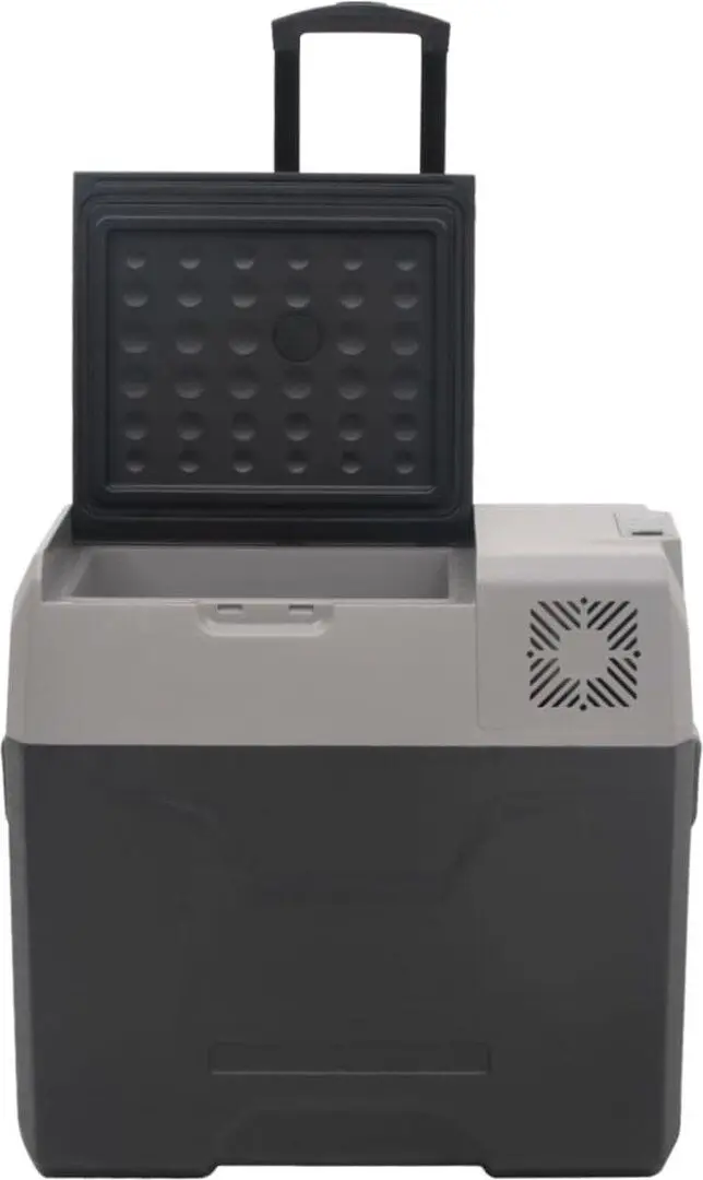 Frigider auto VidaXL 51781 30L (Grey/Black)