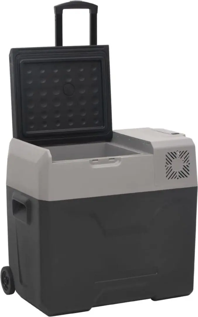 Frigider auto VidaXL 51781 30L (Grey/Black)