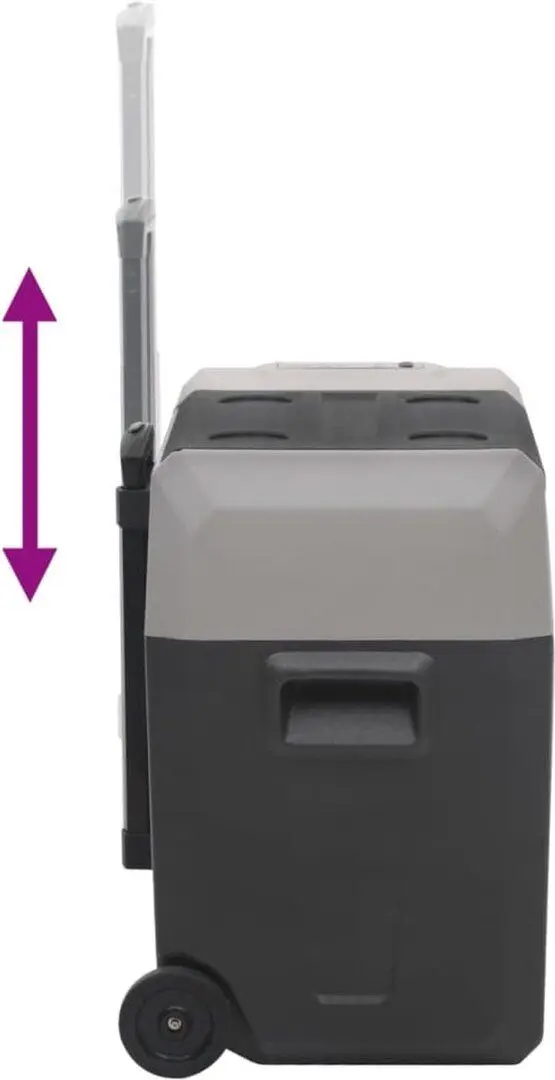 Frigider auto VidaXL 51781 30L (Grey/Black)