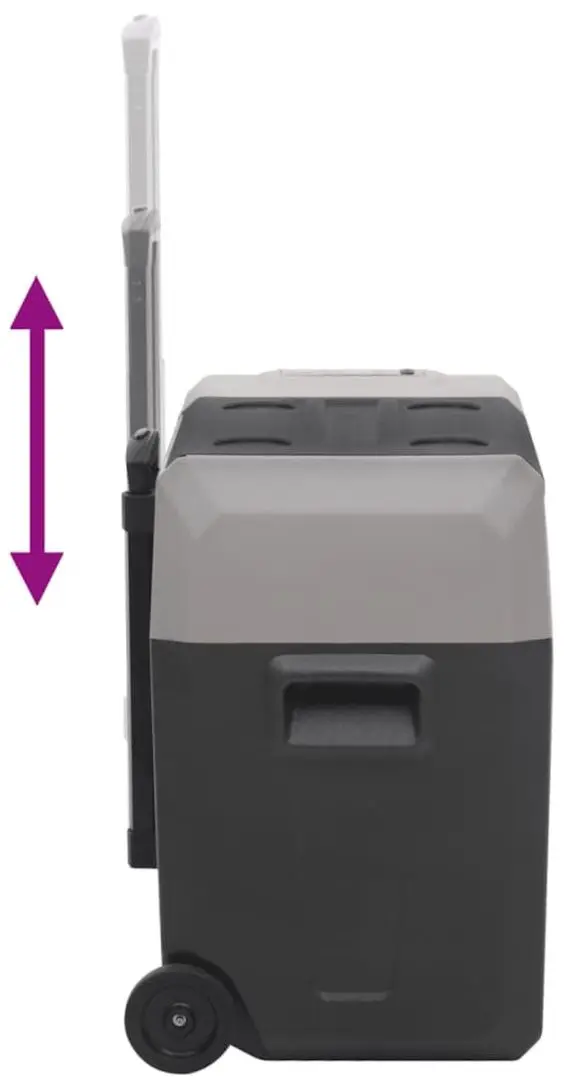 Frigider auto VidaXL 51783 (Black/Grey)