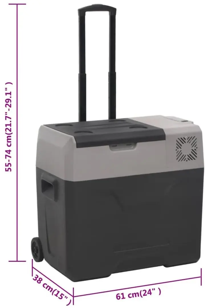 Frigider auto VidaXL 51783 (Black/Grey)