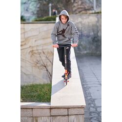 Самокат Bertoni (Lorelli) Boxer (Triangles Dolphin Grey) Thumb