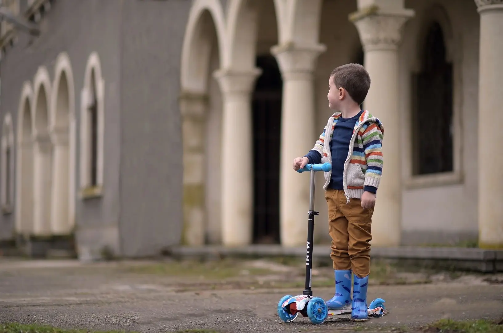 Самокат Bertoni (Lorelli) Mini (Blue Cosmos) - 7