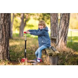 Самокат Bertoni (Lorelli) Rapid (Black Flash) Thumb