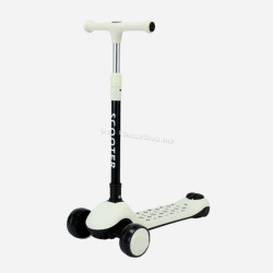 Trotineta ScooTer 3010527-6P
