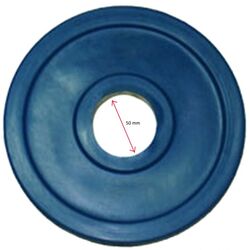 Disc cauciucat Dayu Fitness DY-H-2012 1.25kg (Blue) Thumb