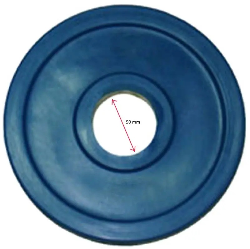 Disc cauciucat Dayu Fitness DY-H-2012 1.25kg (Blue)