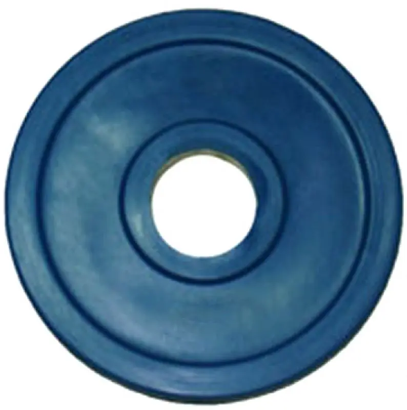 Disc cauciucat Dayu Fitness DY-H-2012 1.25kg (Blue)