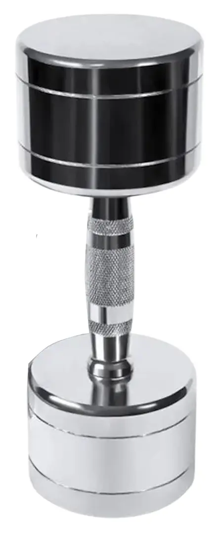 Гантель Dayu Fitness DY-DB-304 4kg (Chrome)