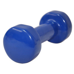 Gantera Dayu Fitness DY-PV-03 10kg Thumb