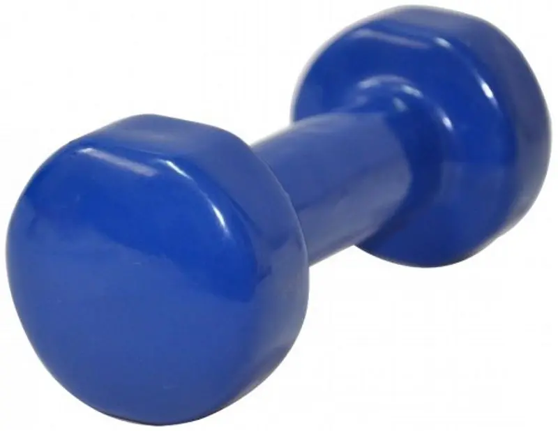 Gantera Dayu Fitness DY-PV-03 2kg (Blue)