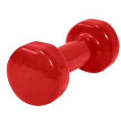Гантель Dayu Fitness DY-PV-03 6kg Thumb