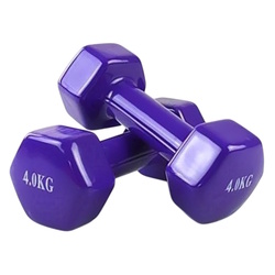 Gantere Dayu Fitness DY-PV-02-4 2x4 (Purple)