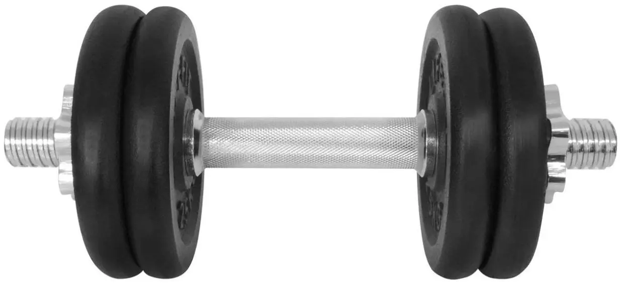 Гантель DHS Lifefit 12 kg (Black)