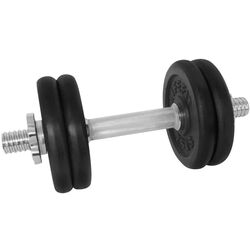 Гантель DHS Lifefit 12 kg (Black)