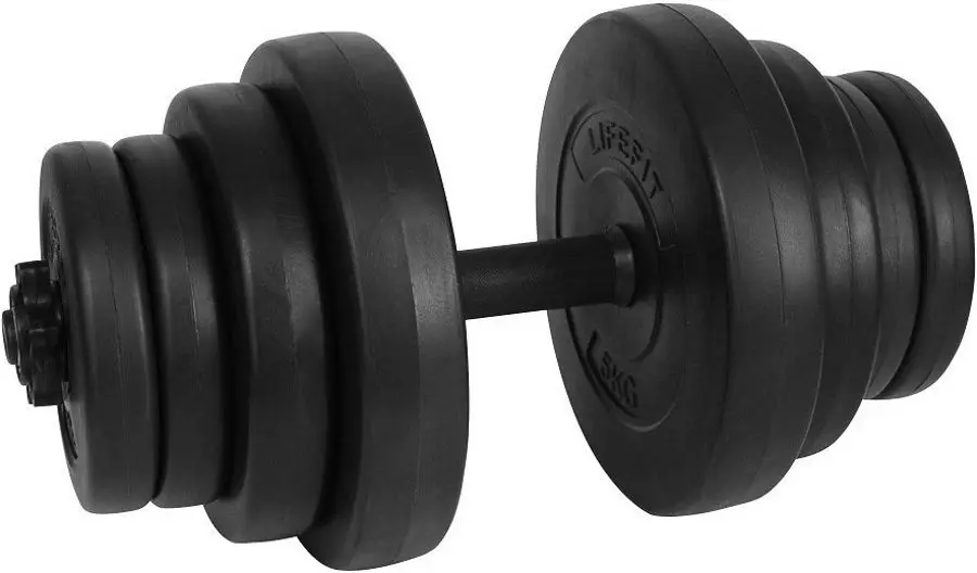 Гантель DHS Master 20kg (Black)