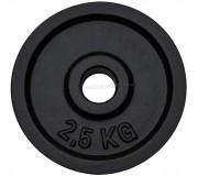 Стальной диск DHS Lifefit 2.5 kg (Black)