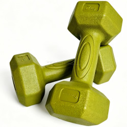 Гантель FitTronic DH2x2 2x2kg (Vernil)