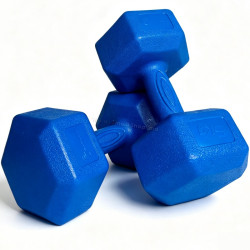 Гантель FitTronic DH2x5 2x5kg (Blue)